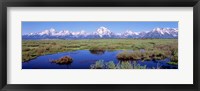 Framed Grand Teton Park, Wyoming (color)