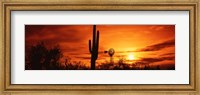 Framed Sonoran Desert Sunset, Arizona