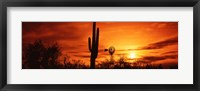 Framed Sonoran Desert Sunset, Arizona