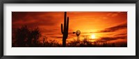 Framed Sonoran Desert Sunset, Arizona