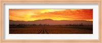 Framed Sunset over Napa Valley