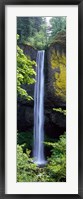 Framed Latourell Falls, Columbia River Gorge, Oregon