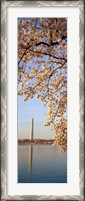 Framed Washington DC