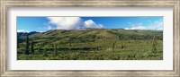 Framed Denali National Park, Alaska