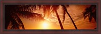 Framed Fort Meyers Florida Sunset