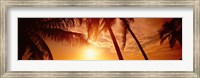 Framed Fort Meyers Florida Sunset