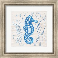 Framed Sea Creature Seahorse Blue