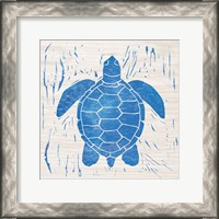 Framed Sea Creature Turtle Blue