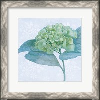 Framed Blue Hydrangea II Crop