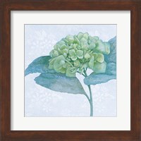 Framed Blue Hydrangea II Crop