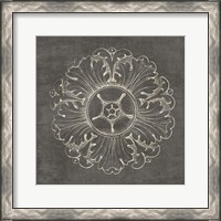 Framed Rosette VI Gray