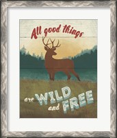 Framed 'Discover the Wild II' border=