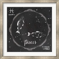 Framed Night Sky Pisces