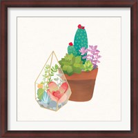 Framed Succulent Garden I