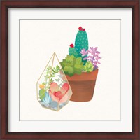 Framed Succulent Garden I