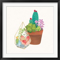 Framed 'Succulent Garden I' border=