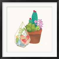 Framed 'Succulent Garden I' border=