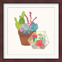 Framed Succulent Garden II