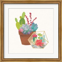 Framed Succulent Garden II