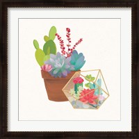 Framed Succulent Garden II