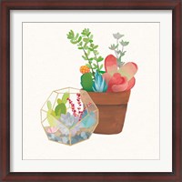 Framed Succulent Garden III