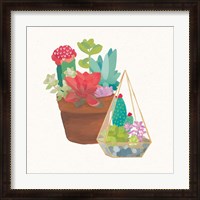 Framed Succulent Garden IV