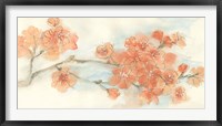 Peach Blossom I Framed Print