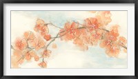 Peach Blossom II Framed Print