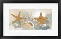 Marine Tableau II Framed Print