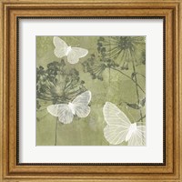 Framed Dandelion & Wings I