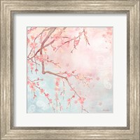 Framed Sweet Cherry Blossoms IV