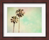 Framed Palm Trees I
