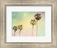 Framed Palm Trees II