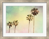 Framed Palm Trees II