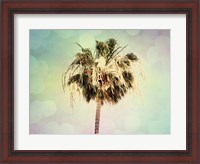 Framed Palm Trees III