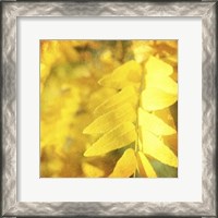 Framed Autumn Photography III