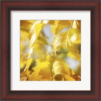 Framed Autumn Photography V