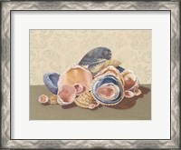 Framed Shell Collection I