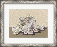 Framed Shell Collection II