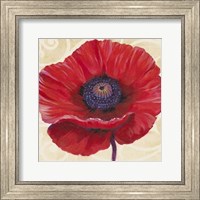 Framed Red Poppy II