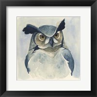 Midnight Aves I Framed Print