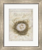 Framed Nest - Bunting