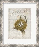 Framed Nest - Goldfinch