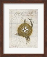 Framed Nest - Goldfinch