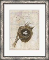 Framed Nest - Oriole
