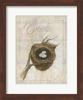 Framed Nest - Oriole