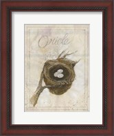 Framed Nest - Oriole