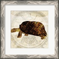 Framed Steam Punk Turtle I