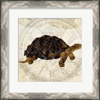 Framed Steam Punk Turtle II