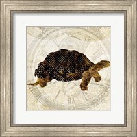 Framed Steam Punk Turtle II